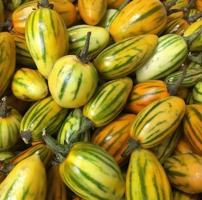 Aubergine petit petit (500G)