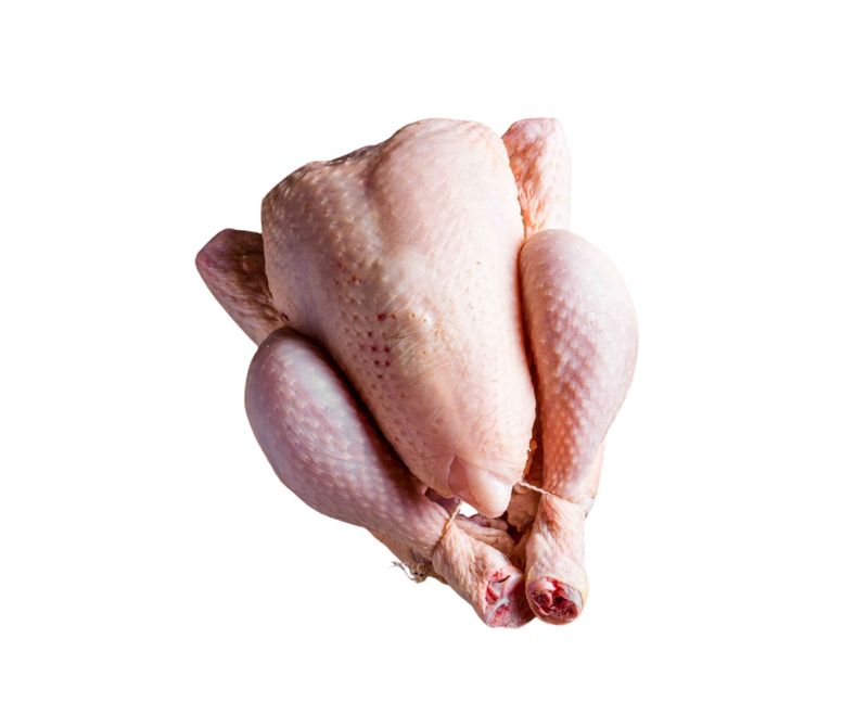 Poule pondeuse congelée Poule pondeuse congelée