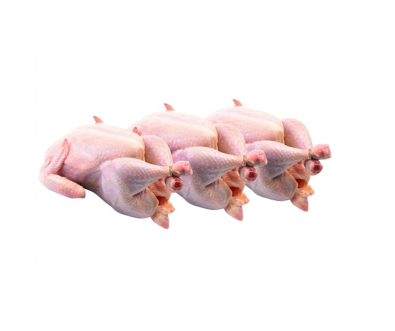 Poules pondeuses congelées : Pack de 3 poules Poules pondeuses congelées : Pack de 3 poules