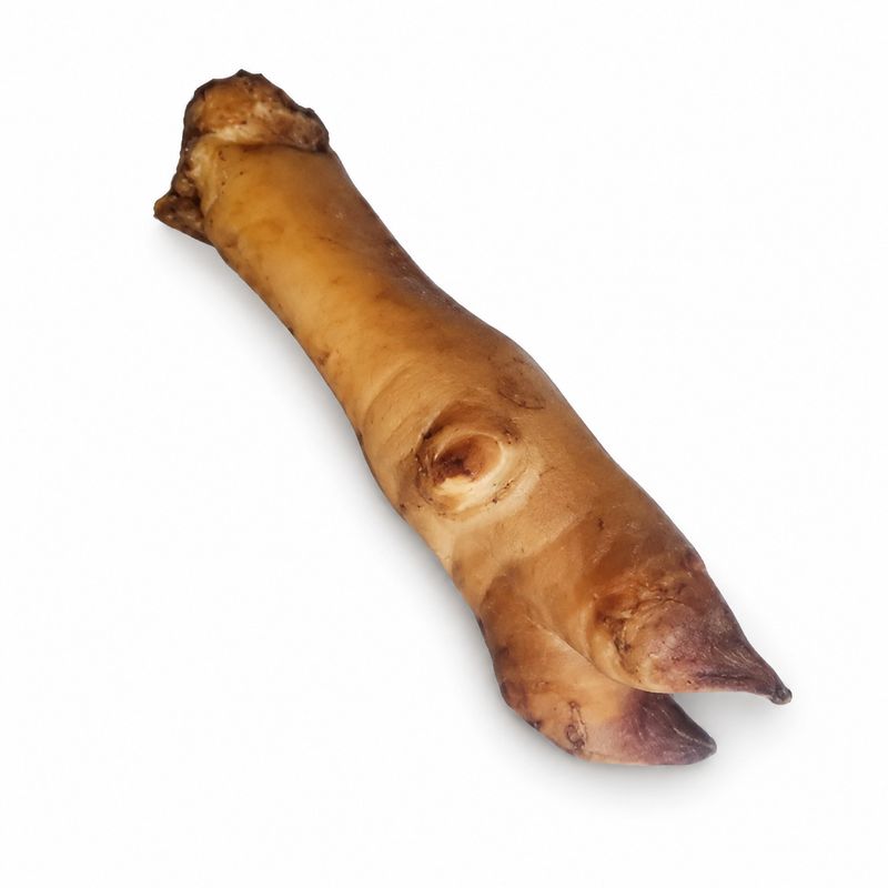 Patte de boeuf Fumée - 1 Pièce Patte de boeuf Fumée - 1 Pièce
