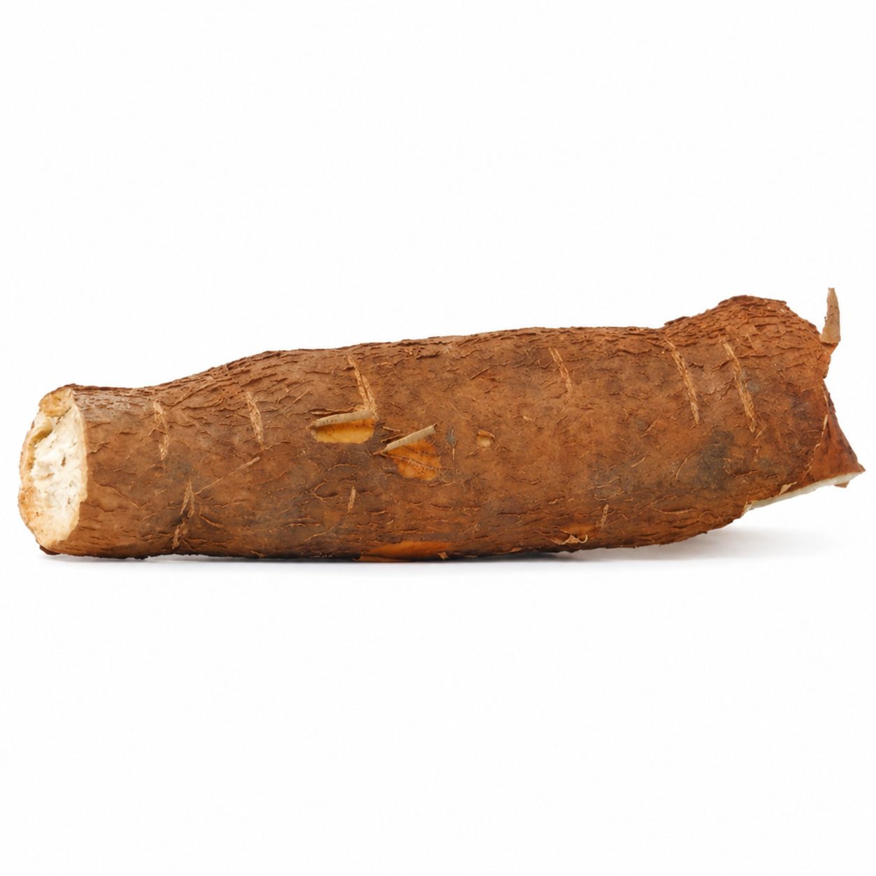 Manioc- 1 Morceau Manioc- 1 Morceau
