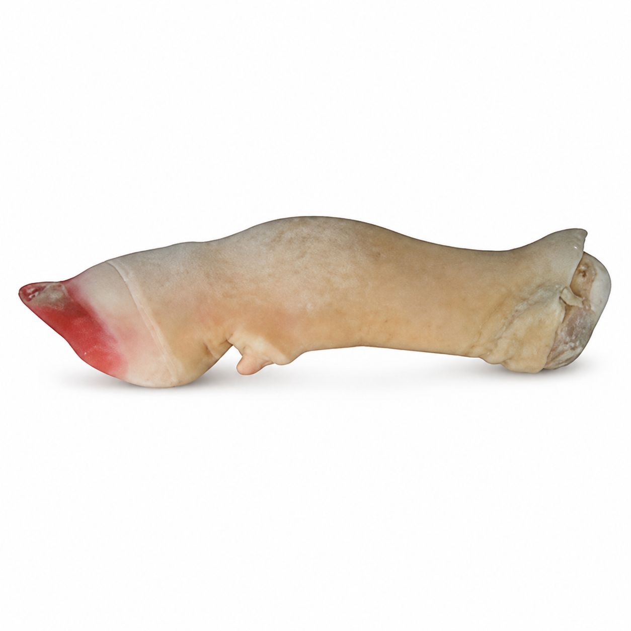 Patte de bœuf Fraiche - 1 Pièce