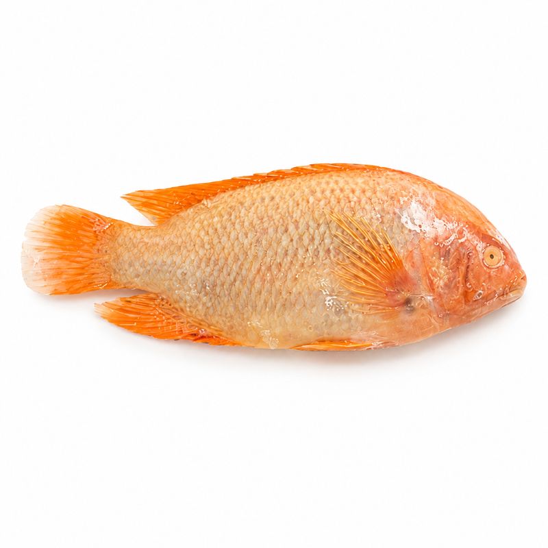 Poisson Carpe rose surgélé - vendu au kilo - 1kg Poisson Carpe rose surgélé - vendu au kilo - 1kg