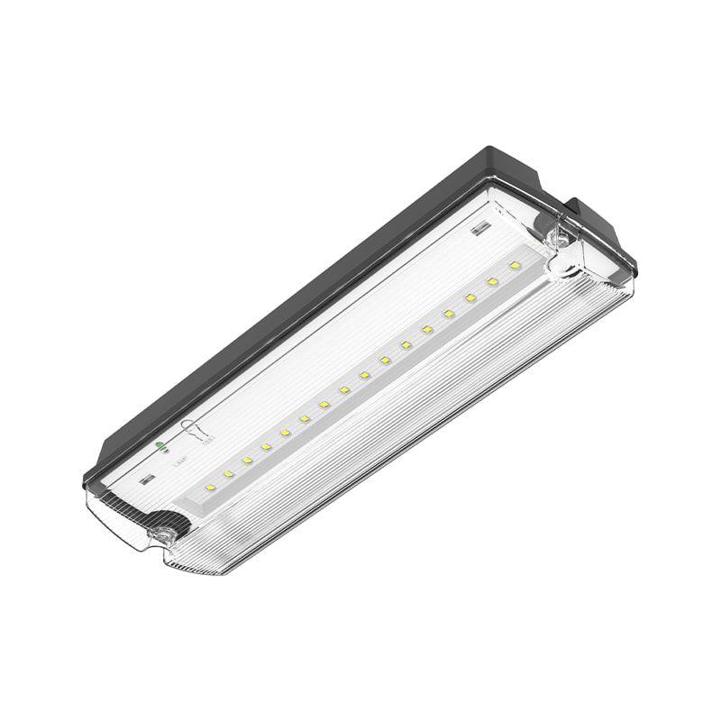 NOTBELEUCHTUNG | PAN | 3W | SCHWARZ | INKL. PITOGRAMME