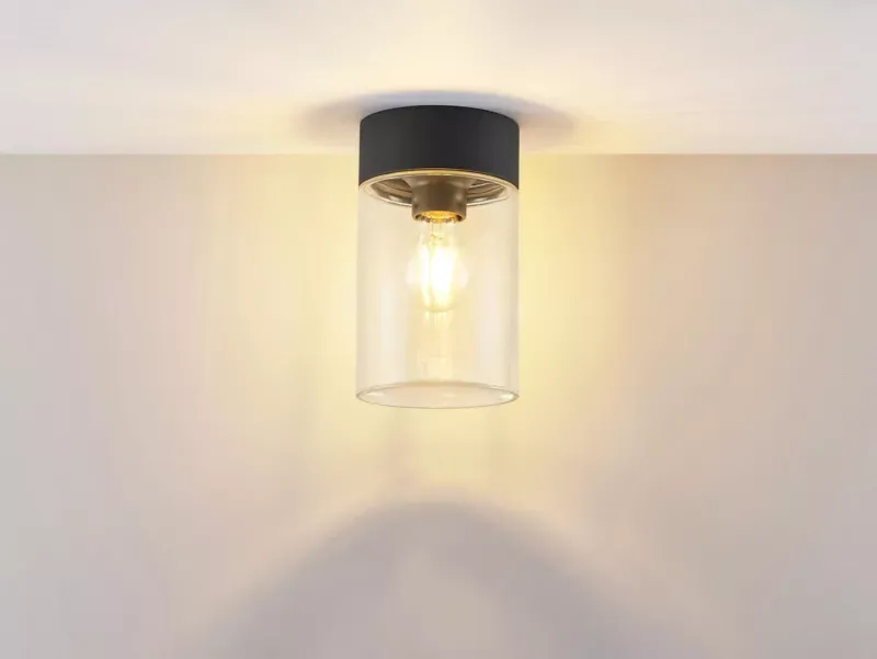 WILLIAM SD WAND-DECKEN AUFBAULEUCHTE ANTHRAZIT / TRANSPARENT