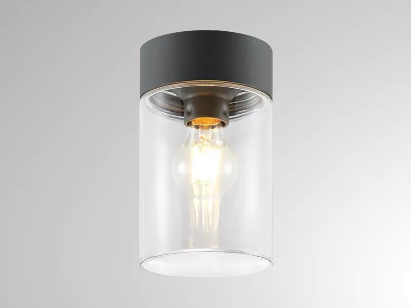 WILLIAM SD WAND-DECKEN AUFBAULEUCHTE ANTHRAZIT / TRANSPARENT