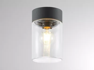 WILLIAM SD WAND-DECKEN AUFBAULEUCHTE ANTHRAZIT / TRANSPARENT