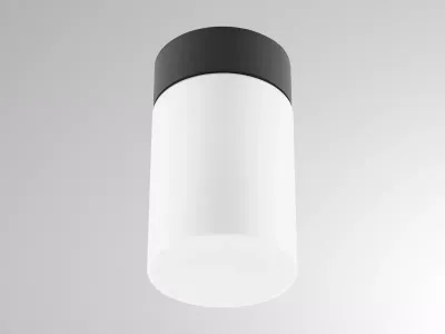 WILLIAM SD WAND-DECKEN AUFBAULEUCHTE ANTHRAZIT / WEISS WILLIAM SD WAND-DECKEN AUFBAULEUCHTE ANTHRAZIT / WEISS