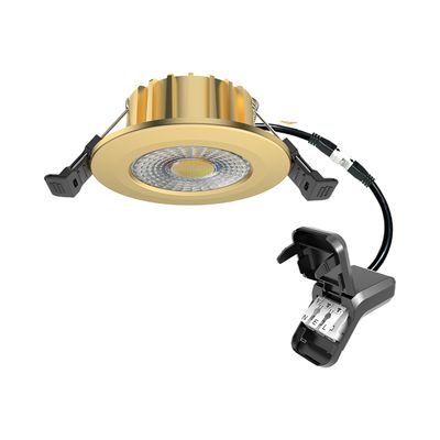 LED-EINBAUSTRAHLER | 6W | DIM | MESSING | CCT-SWITCH | IP65
