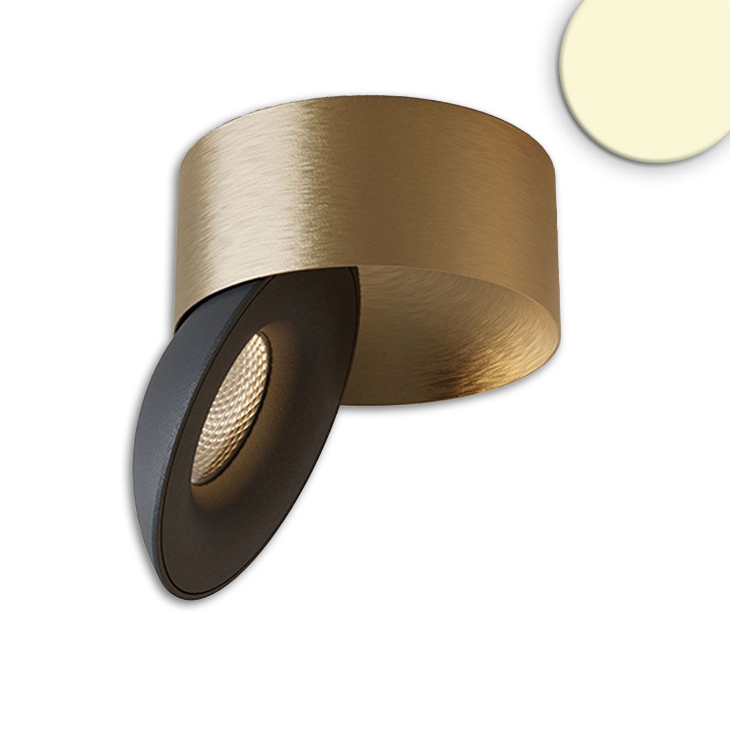 LED Aufbauleuchte gold/schwarz, 2700K, 10W, CRI90, dimmbar