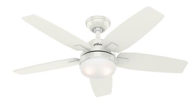 Arcot 117cm White-White Ceiling Fan with Light &amp; Remote Control by Hunter