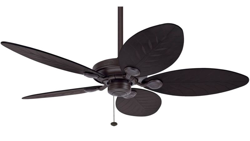 Outdoor Elements 137cm Bronze-Brown Ceiling Fan with Pull Chain by Hunter
