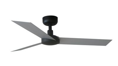 Cruiser 160cm Black-Aluminium Ceiling Fan with Remote Control by Faro
