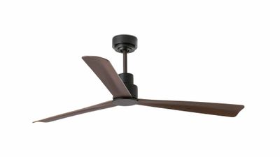 Nassau 128cm Brown-Brown Ceiling Fan with Remote Control by Faro
