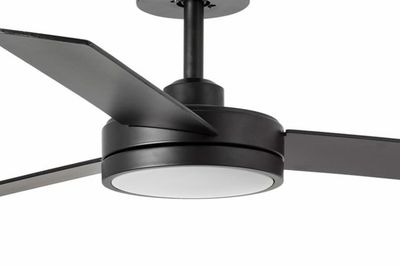 Indoor Ceiling Fans With Light