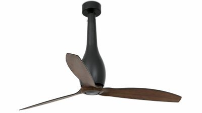Eterfan 128cm Black-Walnut Ceiling Fan with Remote Control by Faro
