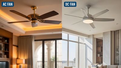 AC vs DC Ceiling Fan: How it Differs &amp; Which One You Should Choose?