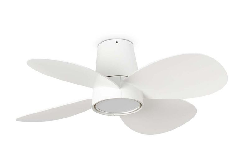 Clover 80cm White-White Ceiling Fan with Light &amp; Remote Control by Faro