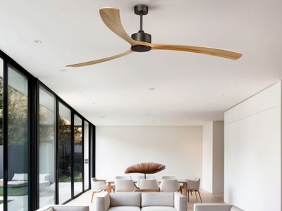 Indoor Ceiling Fans