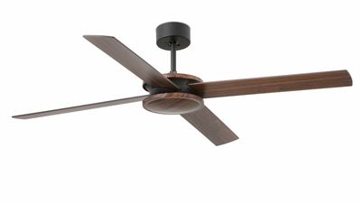 Polea 132cm Black-Walnut Remote with Control by Faro