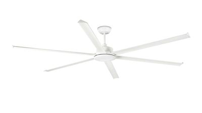 Rotterdam 25 250cm White-White Ceiling Fan with Remote Control by Faro