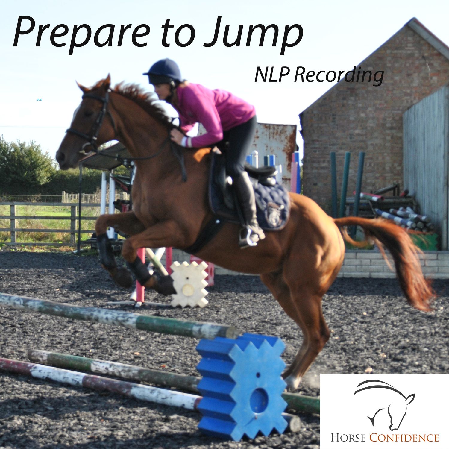 Prepare to Jump NLP Activation Digital Download