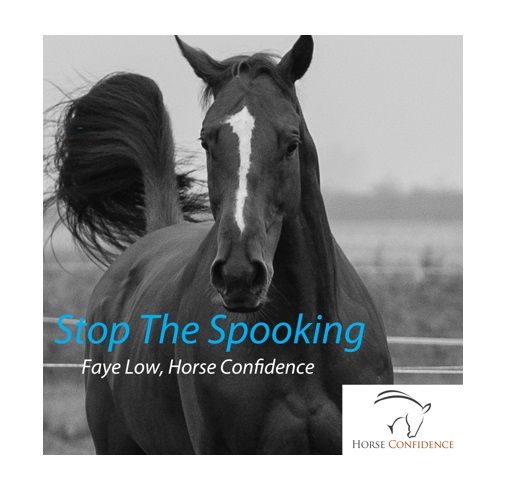 Stop the spooking NLP Activation Digital Download