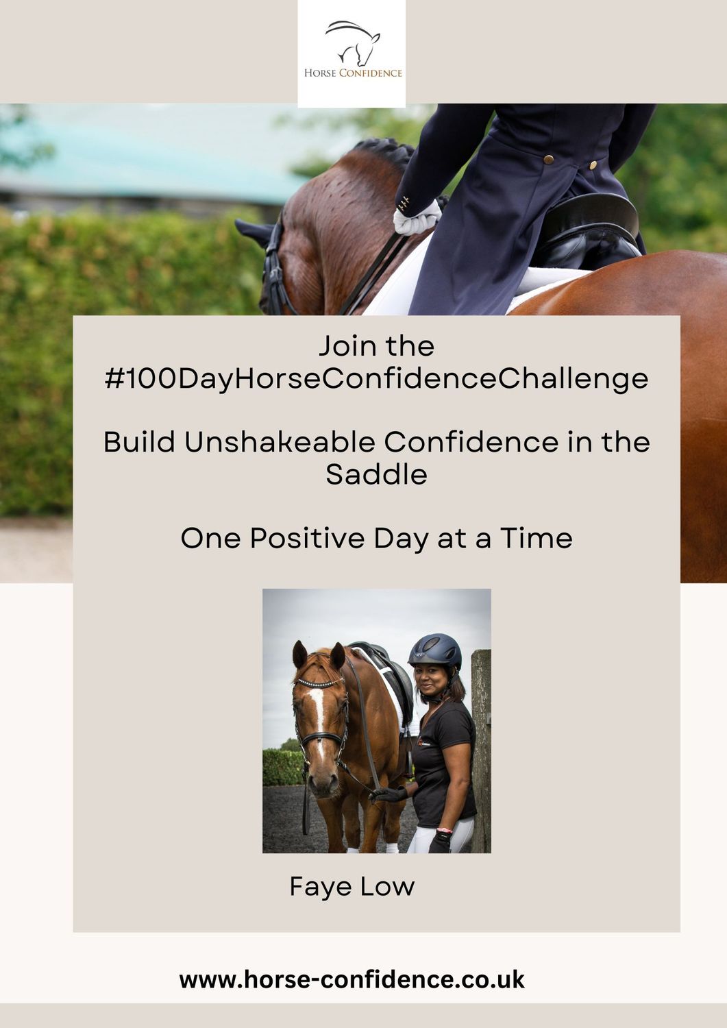 100 Day Horse Confidence challenge