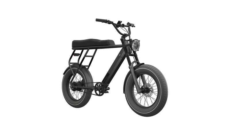 Fatbike GTX