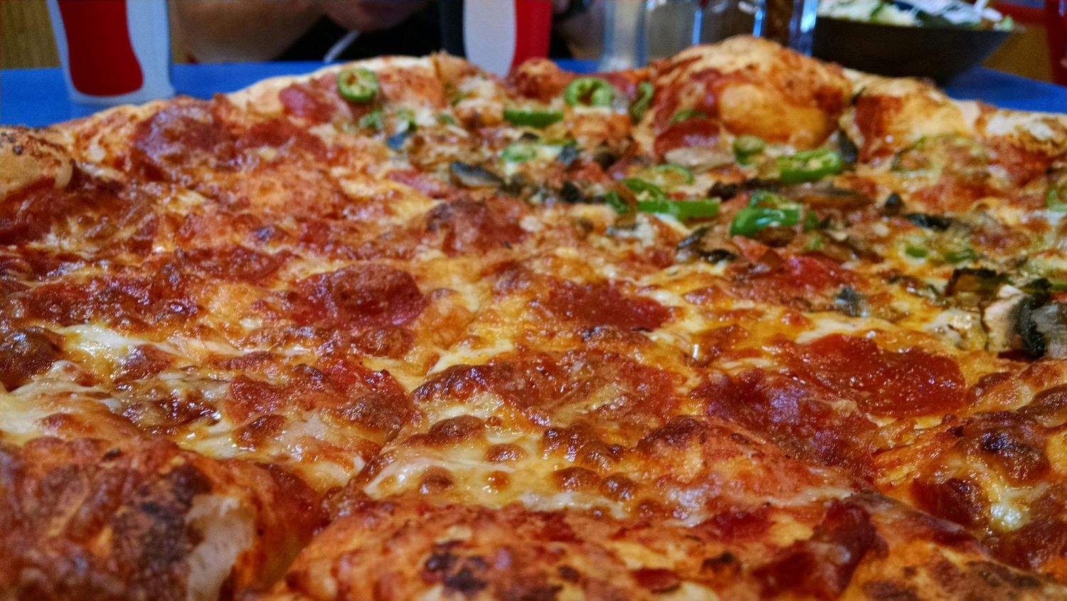 Turuni Pizza (Cheese, Salami, mushrooms)