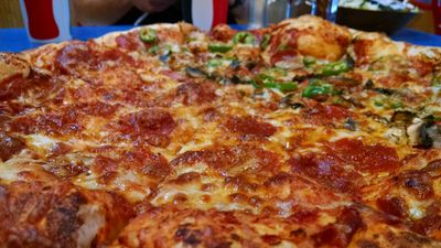 Turuni Pizza (Cheese, Salami, mushrooms)