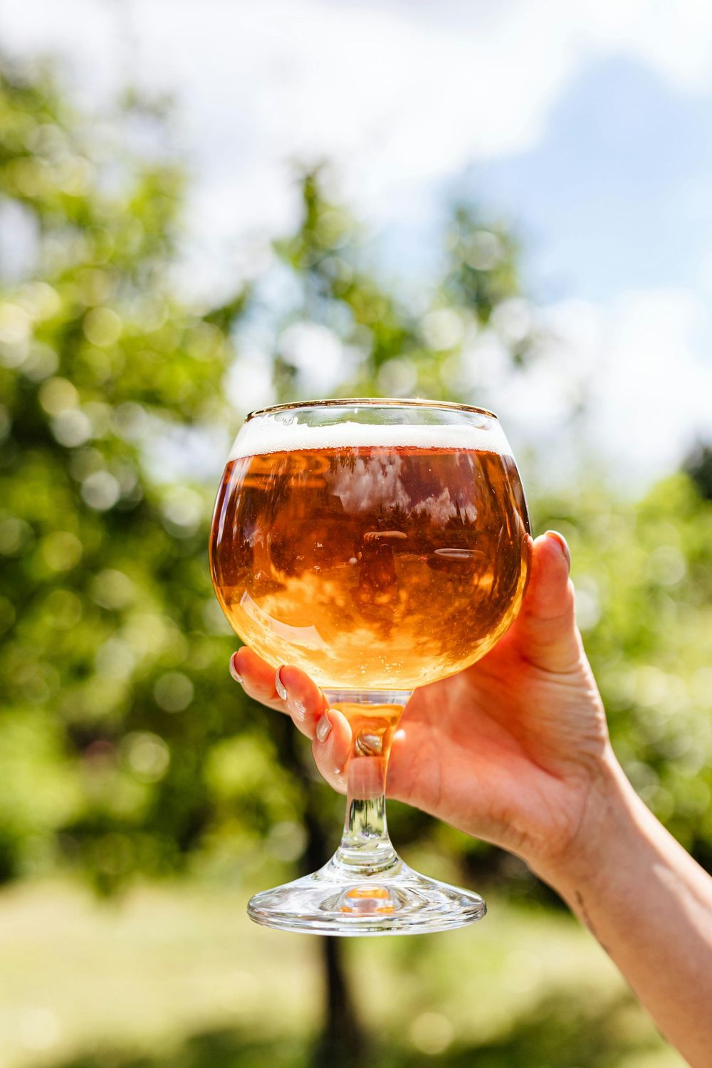 Non Alcoholic Beer