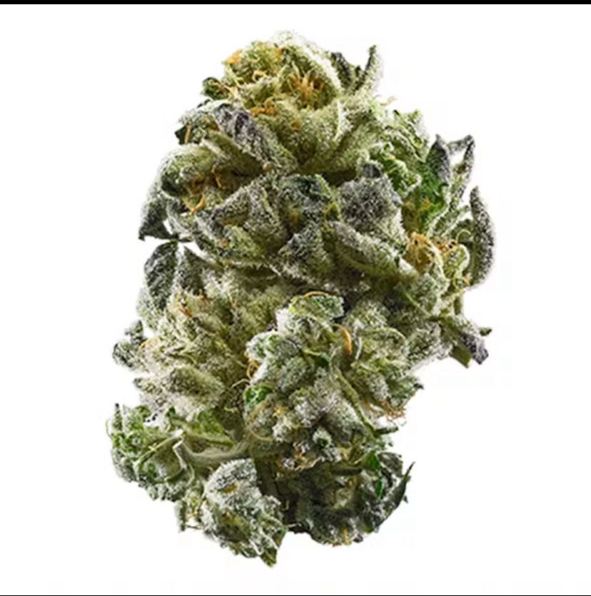 GSC