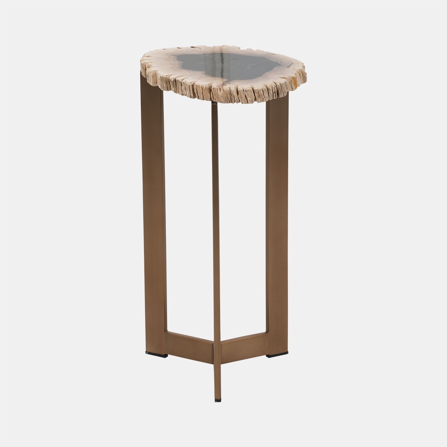 Petrified wood accent table