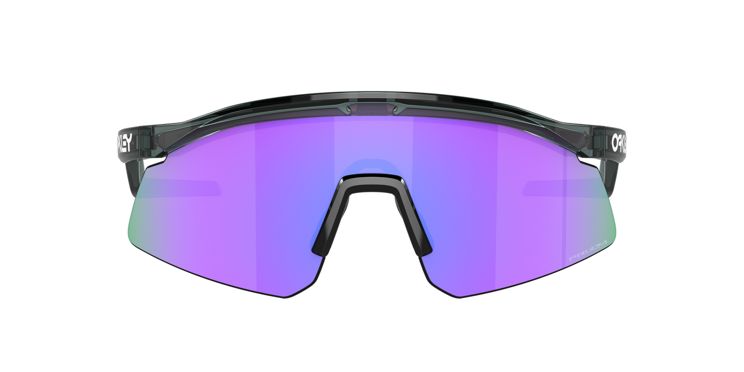 Hydra prizm violet,  Monture crystal black -OO9229 04-37