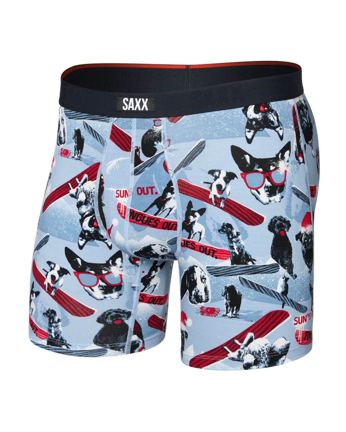 Boxer Vibe Xtra - Winter dogs of
