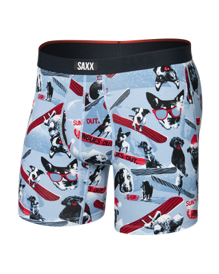 Boxer Vibe Xtra - Winter dogs of
