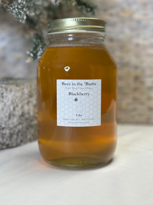 Glass Jar of Honey - 3 lb