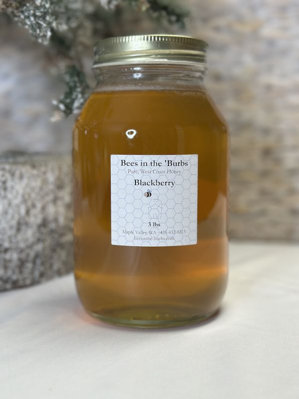 Glass Jar of Honey - 3 lb, Flavor: Blackberry
