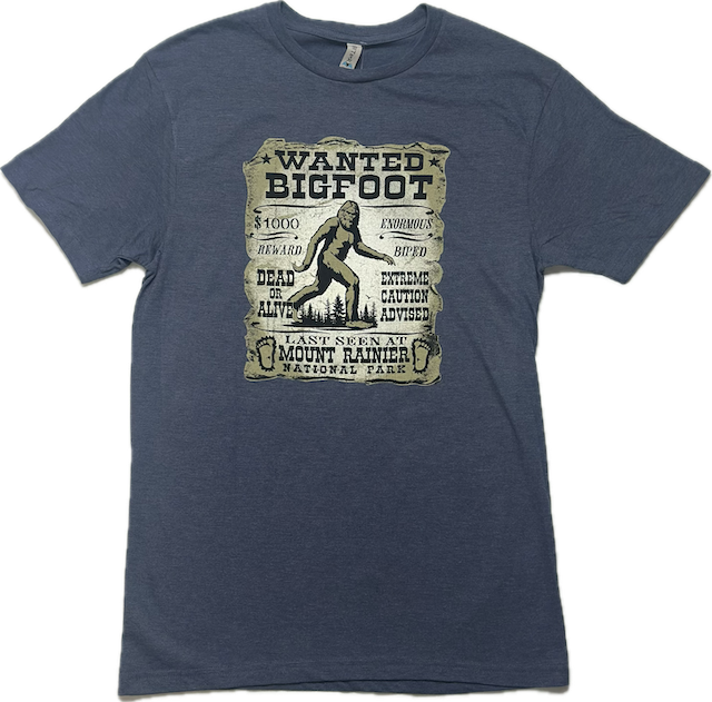 BF Wanted Tee, Color: Navy, Size: M