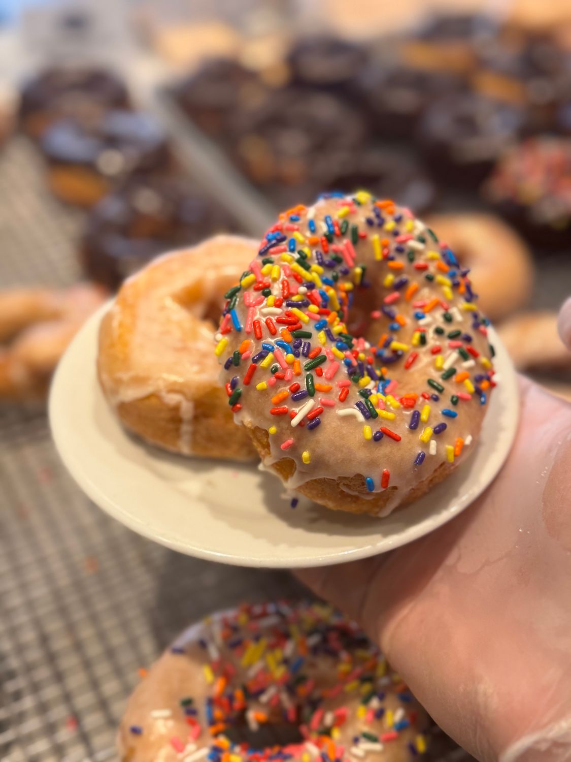 Sprinkled Vanilla Cake Donut - Vanilla Glazed