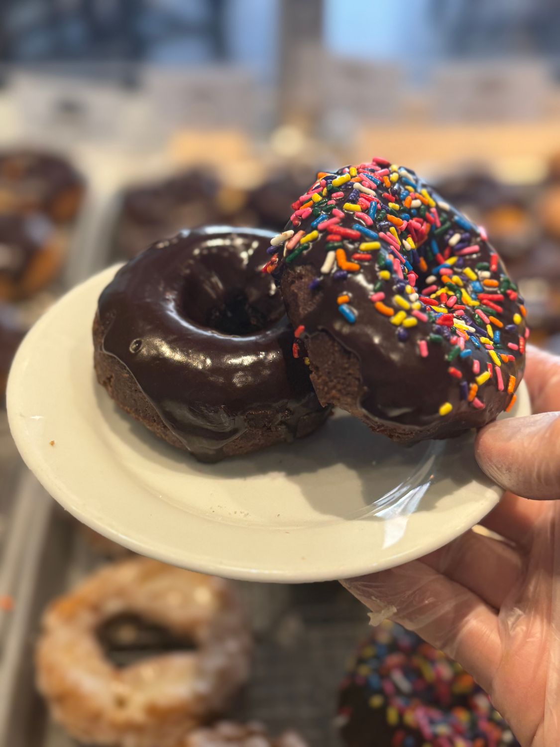 Sprinkled Chocolate Cake Donut - Chocolate Glazed