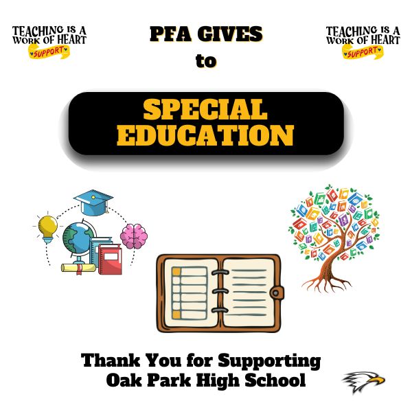 DIRECT SUPPORT DRIVE: SPECIAL ED