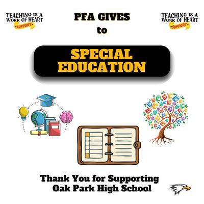 DIRECT SUPPORT DRIVE: SPECIAL ED