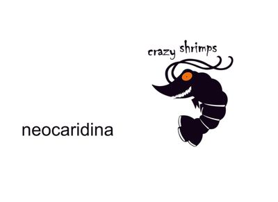 neocaridina