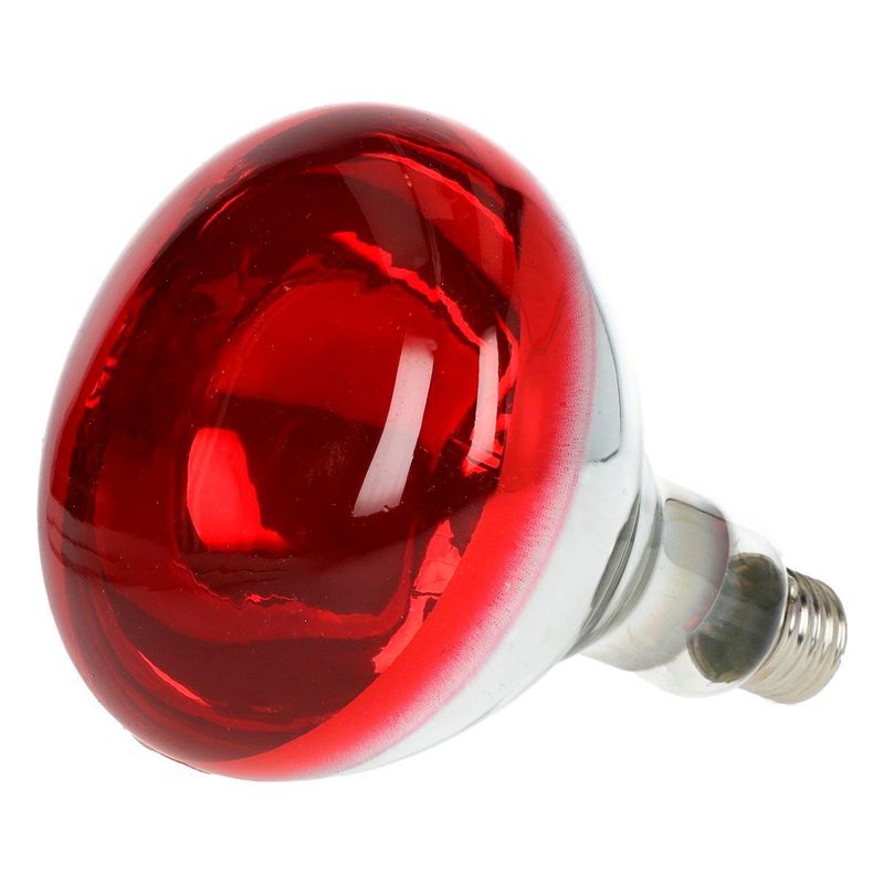 Ampoule Infrarouge 250 W IR