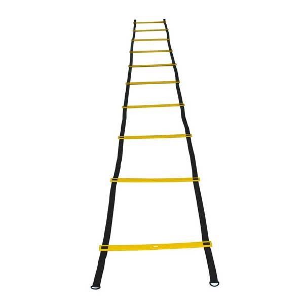 Echelle de Rythme Echelle de Rythme