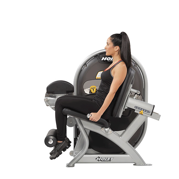 QUADRICEPS CL-3401