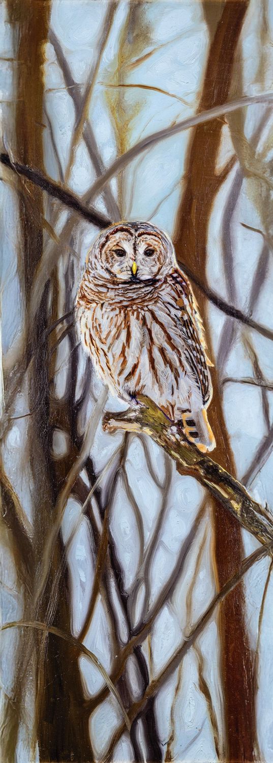 Winter Watch Limited Edition Print