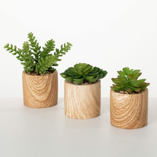 7", 5" &amp; 4.5" Mini Potted Succulent Set of 3